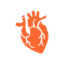 Cardiology